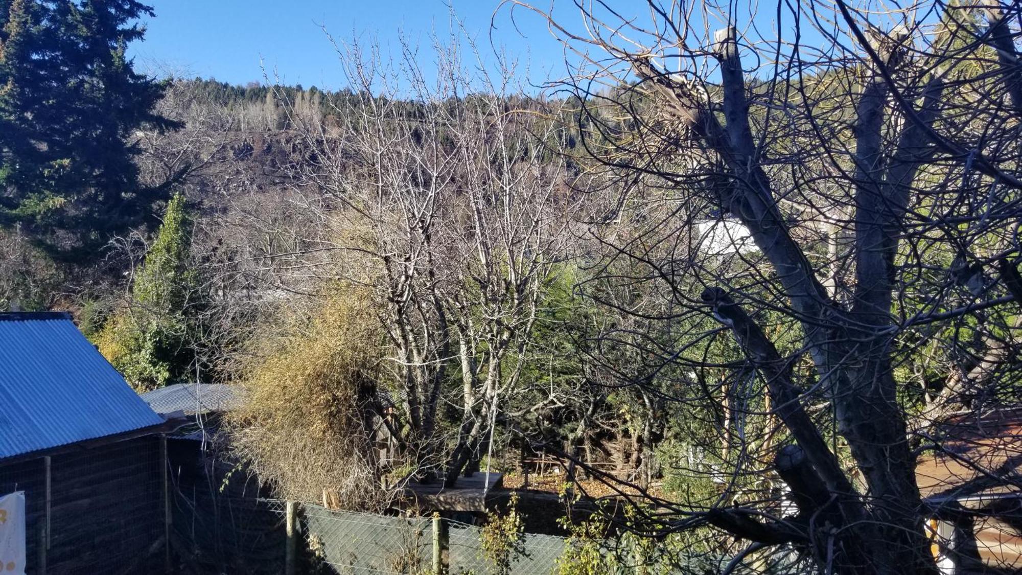 Villegas Céntrico San Martín de los Andes Kültér fotó